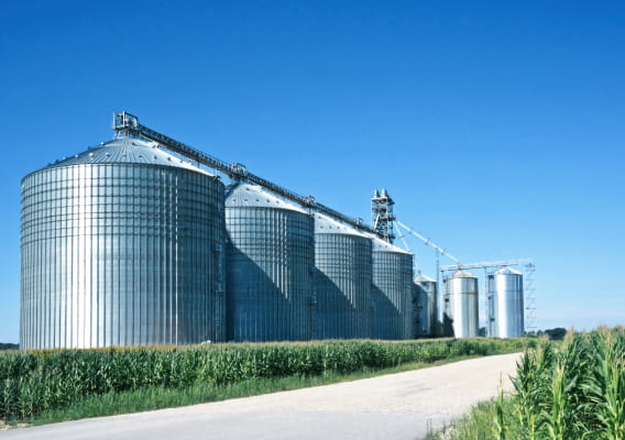 Soybean Hedging