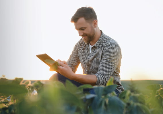 Wheat market hedging with StoneX