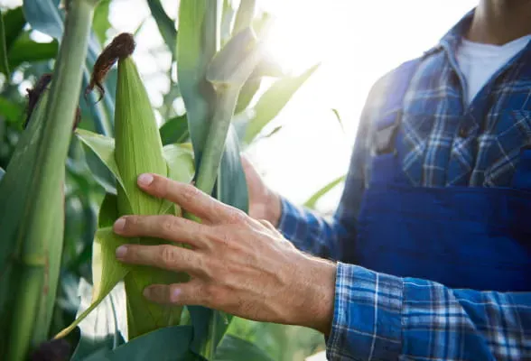 Markets-OTCTrading-Farmers