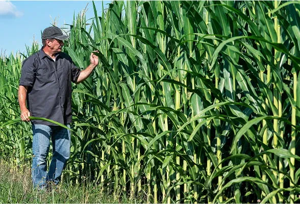 We get you farmer crops