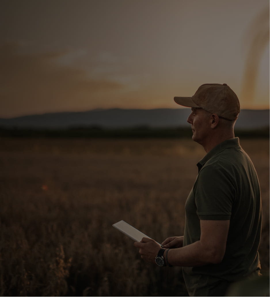 Farmer assessing crops at sunset, representing Farm Advantage’s risk management tools for maximizing agricultural margins