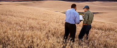 Advisors in a field showcasing StoneX’s on-the-ground market intelligence and client-focused expertise.