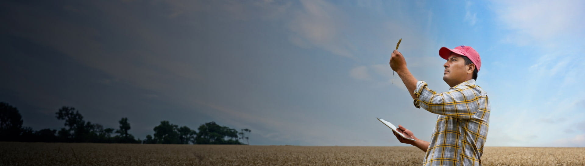Wheat_header_v02