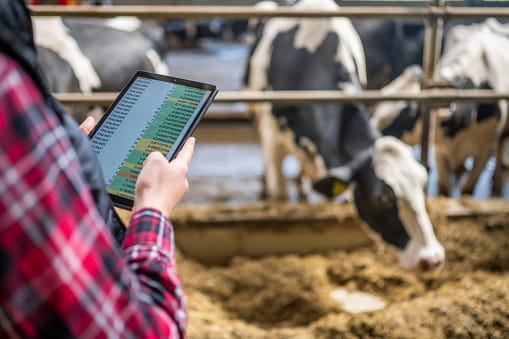 dairy-market-outlook