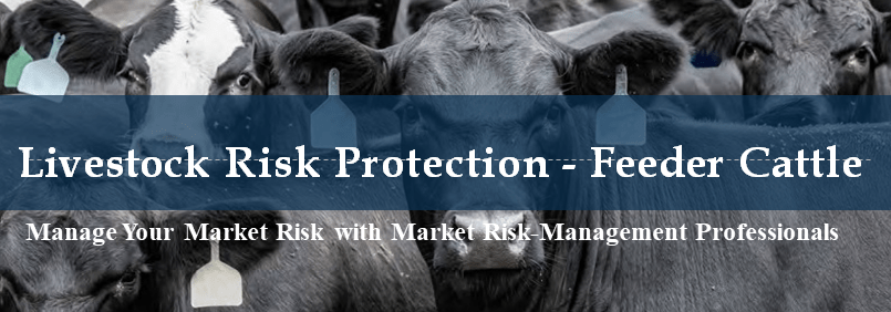 Livestock Risk Protection - Feeder Cattle