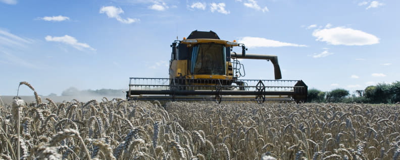 Thought_Leadership_Advanced Crop Marketing Strategies