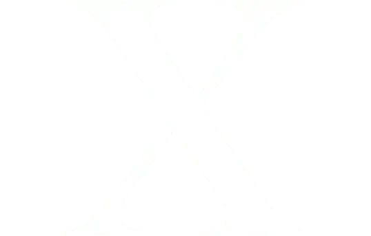 White X transparent SVG